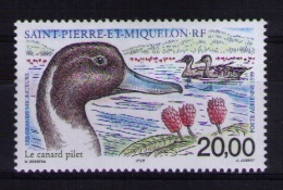 Saint Pierre And Miquelon 1999 Birds MNH - Nuovi