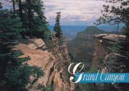 North Rim Grand Canyon Arizona 1994 - Grand Canyon