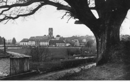 ETIVAL PANORAMA DU GROS CHENE - Etival Clairefontaine