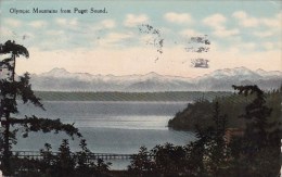 Olympic Mountains From Puget Sound Seattle Washington 1911 - Tacoma