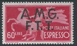 1947-48 TRIESTE A ESPRESSO DEMOCRATICA 60 LIRE MH * - ED261-2 - Express Mail