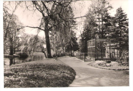 Deutschland - Dahme ( Mark ) - Schlosspark Mit Affenhaus - Dahme