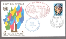 United Nations - ASDA 1975 Chicago, Illinois - The Windy City - Storia Postale