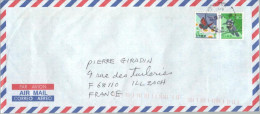 JAPON JAPAN 2080 (o) Lettre Brief Cover Aérogramme TOKYO > ILLZACH (France)Papillon Martin Pêcheur 1993 - Storia Postale