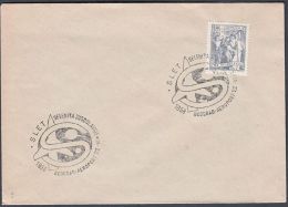 Yugoslavia 1958, Cover  W./ Special Postmark "SLET, Belgrade", Ref.bbzg - Lettres & Documents