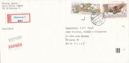 I3974 - Czechoslovakia (1990) 701 00 Ostrava 1 (stamp: WWF!) - Covers & Documents