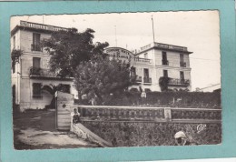 SOUK - AHRAS  -  COMMUNE  MIXTE -  1959  -  SM D  PHOTO  - - Souk Ahras