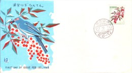 Japan First Day Cover - 20.02.1962 - Enveloppes