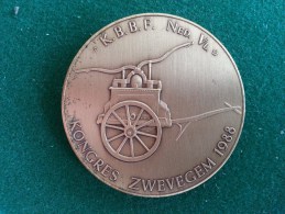 Brandweer, K.B.B.F. Ned. Vl. Kongres Zwevegem, 1988, 33 Gram (medailles0221) - Autres & Non Classés