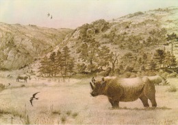 66 - TAUTAVEL - RHINOCÉROS De La PRAIRIE - Dessin Éric Guerrier - Non Circulée - 2 Scans - - Rhinoceros