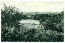 Forest - Parc - Grande Plaine De Jeux Et Panorama - Forest - Vorst