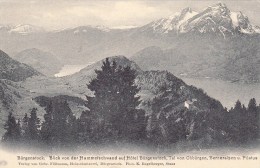 Bürgenstock - Blick Von Der Hammertschwand Auf Hôtel Bürgenstock - Otros & Sin Clasificación