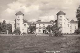 CPA RHEINSBERG- THE CASTLE - Rheinsberg