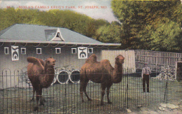 Missouri St Joseph Moila's Camels Kruk Park - St Joseph