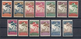 140013018  NUEVA  CALEDONIA  YVERT  TAXE   Nº  26/38  */MH - Timbres-taxe