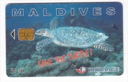 Maldiven - Maldives - Dhiraagu - Save The Turtle - Schildkröte - 202MLDG - Maldives