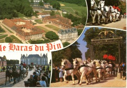 Le Haras Du Pin - Multivues (aérienne équipage Attelage Chateau) N°20751 - Exmes