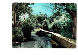 89 - AILLANT Sur THOLON - Le Pont Girardot - 1960 - Edit Collin - Aillant Sur Tholon