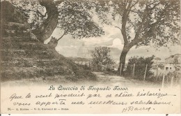 ROMA-ROME-LA QUERCIA DI TORQUATO TASSO-Arbre-Chêne-LE TASSE - Parks & Gardens