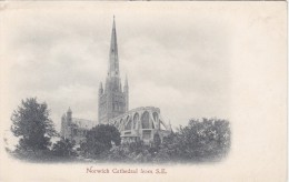 Norwich Cathedral From SE - Norwich