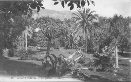 Monte Carlo Les Jardins Etat Parfait - Jardin Exotique