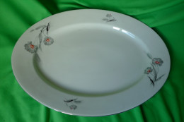 Old Antique Altrohlau Porcelain Factory 1918 - 1939 MZ Czechoslovakia Large Oval Serving Plate - Andere & Zonder Classificatie