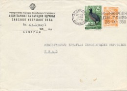 I5135 - Yugoslavia (1958) Beograd 2 - Lettres & Documents