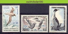 Nbm0069 FAUNA VOGELS BIRDS VÖGEL AVES OISEAUX TAAF TERRES AUSTRALES ET ANTARCTIQUES FRANCAISES 1959 PF/MNH+ONG/MH - Albatros & Stormvogels