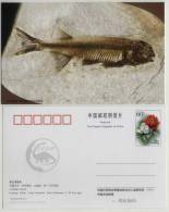 Lycoptera Davidi Fish Fossil,Live With Dinosaur In Early Cretaceous Period,CN 03 IVPP Advert Pre-stamped Card - Fossilien