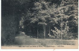 ( CPA 91)  BRÉTIGNY-SUR-ORGE  /  " L'Hermitage" - Sous Bois - - Bretigny Sur Orge