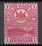 CAPE  1893    1  P     MH - Kaap De Goede Hoop (1853-1904)