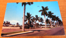 East Las Olas Boulevard Island Homes Palm Trees Ft. Lauderdale FL 1950s Scenic Postcard - Fort Lauderdale