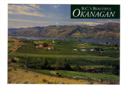 Canada: Osoyoos, Spring Means Greenery Lush Farmlands And Vineyards As The Heat Of Summer Approaches, Photo Marin Petkov - Osoyoos