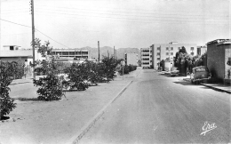 COLOMB BECHAR UN BOULEVARD DE LA NOUVELLE VILLE - Bechar (Colomb Béchar)