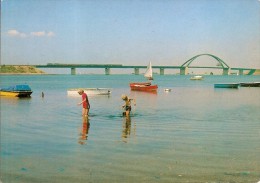 FEHMARNSUND-BRUCKE AN DER VOGELFLUGLINIE DEUTSCHLAND-DANEMARK-PETITS PECHEURS DE CREVETTES - Fehmarn