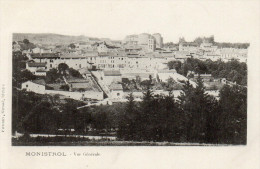 MONISTROL-VUE GENERALE-TBE - Monistrol Sur Loire