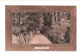 THE DINGLE Lymm LIM Nr Warrington UNUSED CHESHIRE POSTCARD - Other & Unclassified