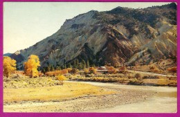 Big Rock Candy Mountain UT Utah 1950s Nice Scenic Postcard - Other & Unclassified