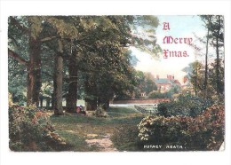 A MERRY CHRISTMAS PUTNEY HEATH SOUTH LONDON OLD Postcard USED DEC 22ND 1905 WITH STAMP - Sonstige & Ohne Zuordnung