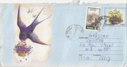 BIRD, SWALLOW, COVER STATIONERY, ENTIER POSTAL, 1999, ROMANIA - Hirondelles