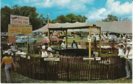 Eastern Shore DE Delaware, World´s Largest Frying Pan Delmarva Chicken Festival, C1950s/60s Vintage Postcard - Sonstige & Ohne Zuordnung