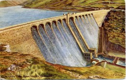 SALMON ART CARD - F E QUINTON - 4447 - LLAERWEN DAM, ELAN VALLEY - Montgomeryshire