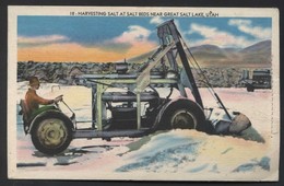 U.S.A.-UT. Salt Lake City. *Harvesting Salt At Salt Bends Near...* Nueva. - Salt Lake City