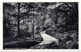 CP, ROYAUME UNI, ECOSSE, STIRLINGSHIRE, Where Twines The Path, Trossachs, Vierge - Stirlingshire