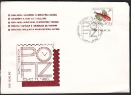 Yugoslavia 1980, Illustrated Ccover "Philatelic Exibition In Subotica 1980" W./ Special Postmark "Subotica", Ref.bbzg - Briefe U. Dokumente