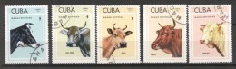 Cuba 1973 Animals, Pets, Used G.241 - Oblitérés