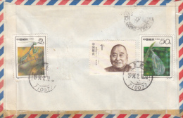 STAMPS ON REGISTERED COVER, NICE FRANKING, PRAYING MANTIS, FLY, PERSONALITY, 1994, CHINA - Lettres & Documents