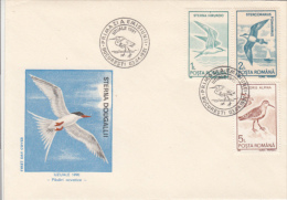 BIRDS, ROSEATE TERN, MARINE BIRDS, COVER FDC, 1991, ROMANIA - Palmípedos Marinos