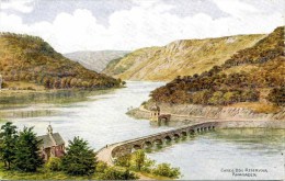 A R QUINTON - SALMON 2165 - CAREG DDU RESERVOIR, RHAYADER - Adolf 'Jodolfi'