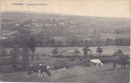 Ferrières - Panorama Du Moupet (vaches) - Ferrieres